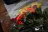 200908070038.JPG - 2009:08:07 20:27:44