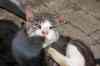 200908080206.JPG - 2009:08:08 09:07:01