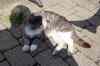 200908080208.JPG - 2009:08:08 09:07:34