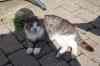 200908080209.JPG - 2009:08:08 09:07:45