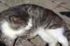 200908080211.JPG - 2009:08:08 09:07:59