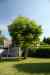 200908080237.JPG - 2009:08:08 09:35:29