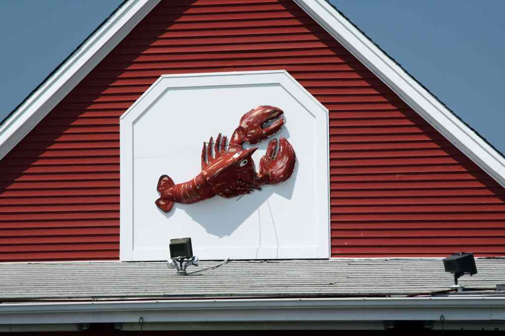 * Image 25