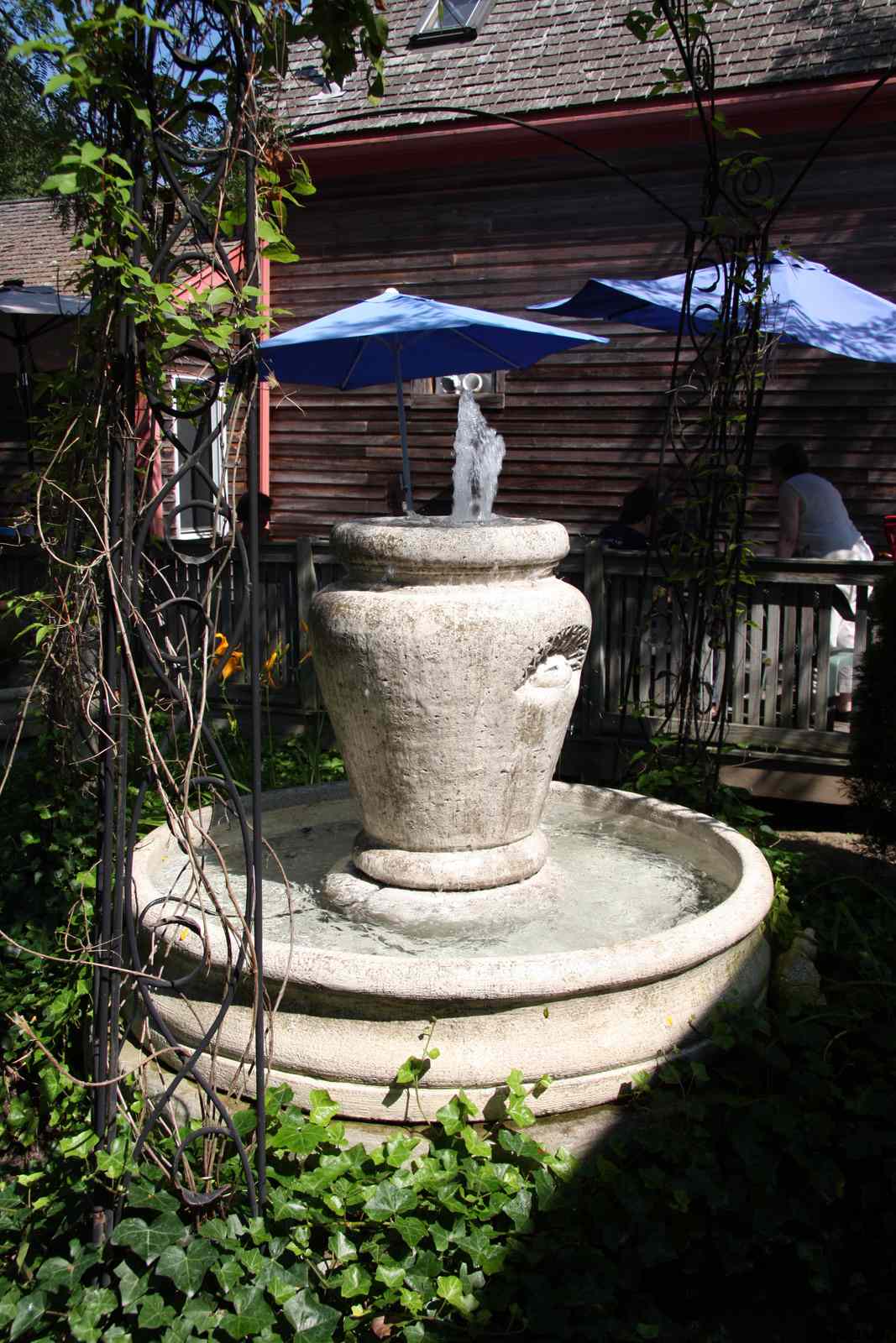 * Image 42