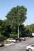200908180024m.jpg - 2009:08:18 09:20:08