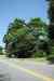 200908180071m.jpg - 2009:08:18 12:43:46