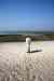 200908180114m.jpg - 2009:08:18 15:28:22