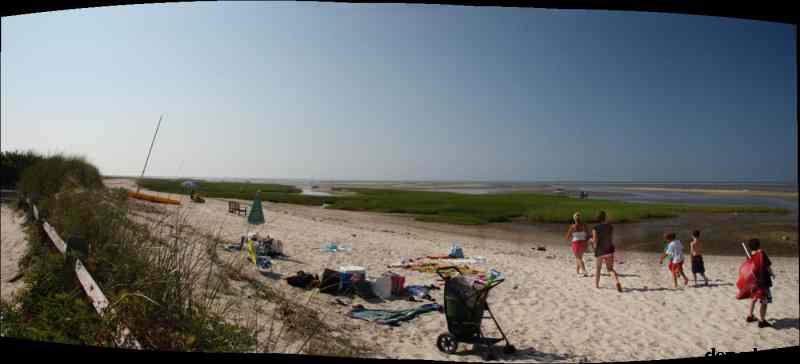* Image 59
