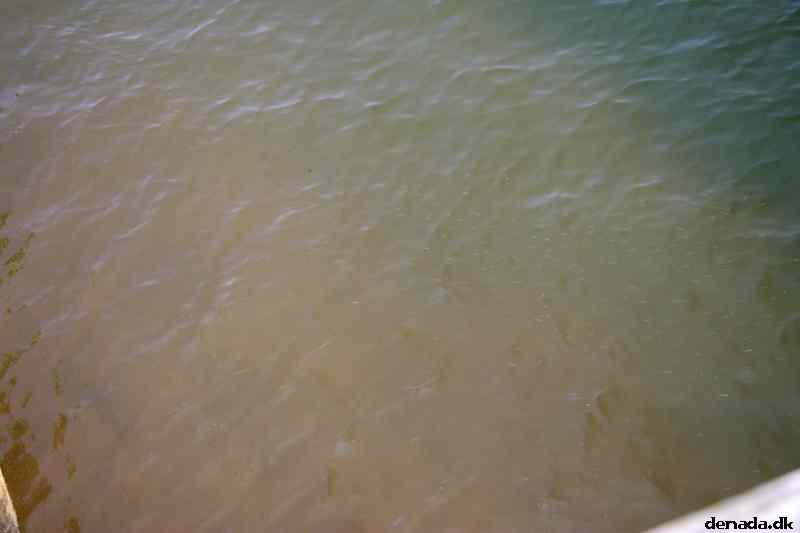 * Image 19