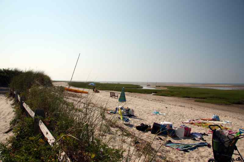 * Image 47