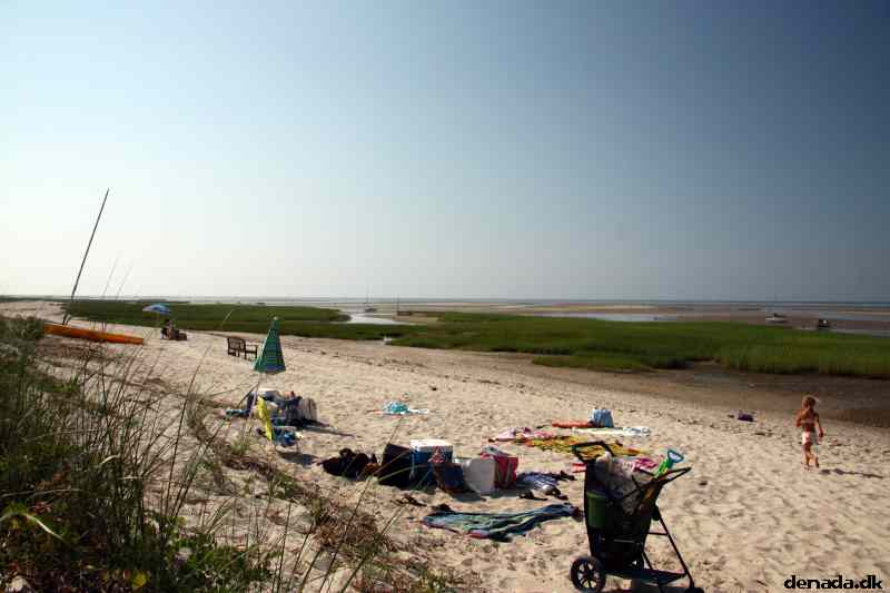 * Image 48