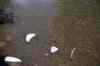 200908190048m.jpg - 2009:08:19 13:23:42