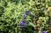 200908190062m.jpg - 2009:08:19 13:32:53