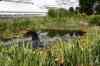 200908190063m.jpg - 2009:08:19 13:33:25