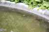 200908190073m.jpg - 2009:08:19 13:37:22