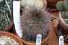 200908190077m.jpg - 2009:08:19 13:42:11