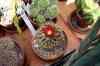 200908190078m.jpg - 2009:08:19 13:42:22