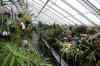 200908190087m.jpg - 2009:08:19 13:45:12
