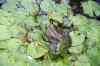 200908190091m.jpg - 2009:08:19 13:46:13