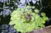 200908190092m.jpg - 2009:08:19 13:46:20
