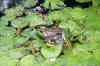 200908190093m.jpg - 2009:08:19 13:46:27
