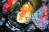 200908190097m.jpg - 2009:08:19 13:46:32