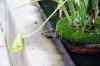 200908190101m.jpg - 2009:08:19 13:47:04
