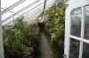 200908190105m.jpg - 2009:08:19 13:48:07