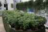 200908190110m.jpg - 2009:08:19 13:49:16