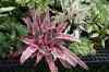 200908190115m.jpg - 2009:08:19 13:50:20