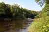 200908190150m.jpg - 2009:08:19 16:00:39