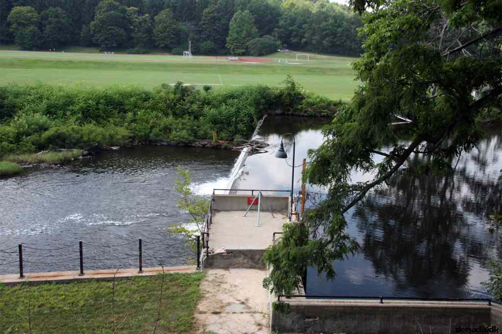 * Image 5