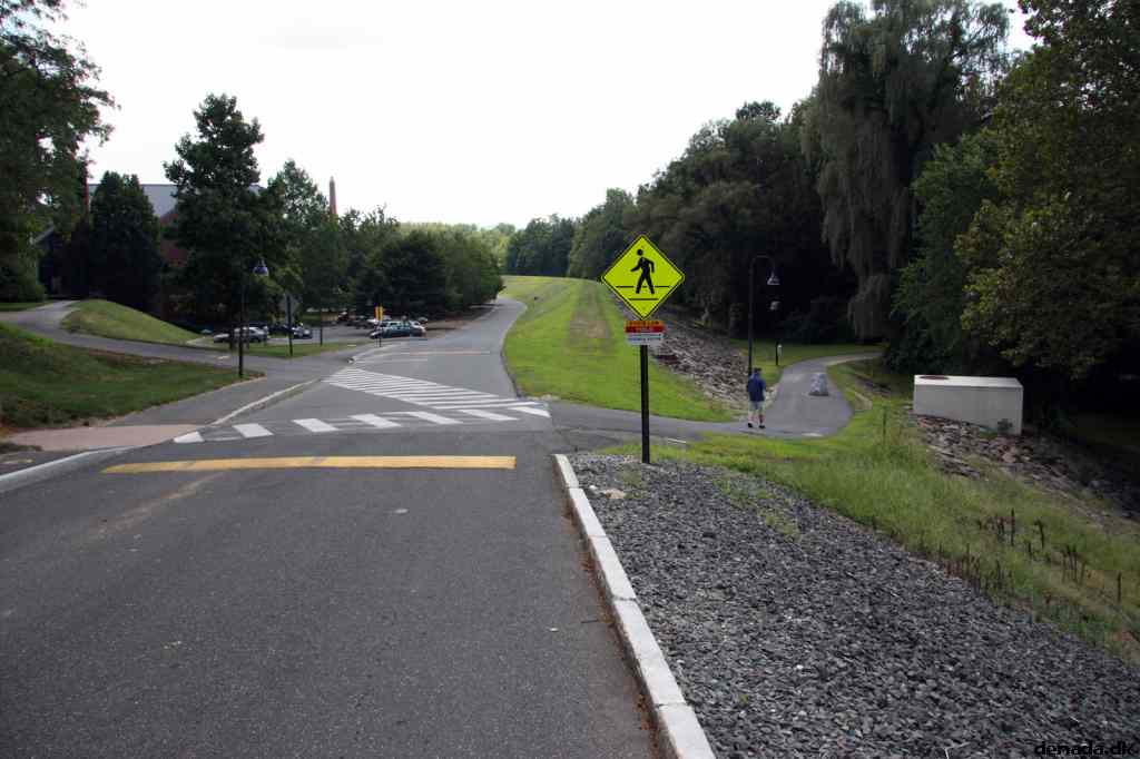 * Image 6