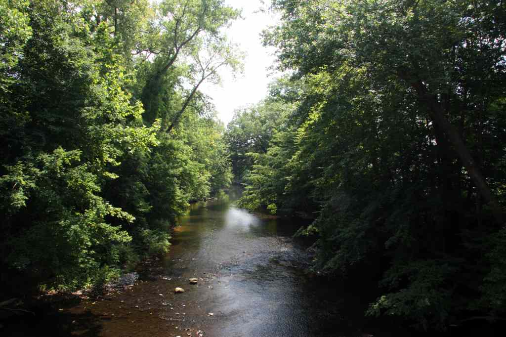 * Image 16