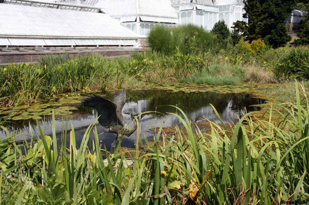 * Image 30