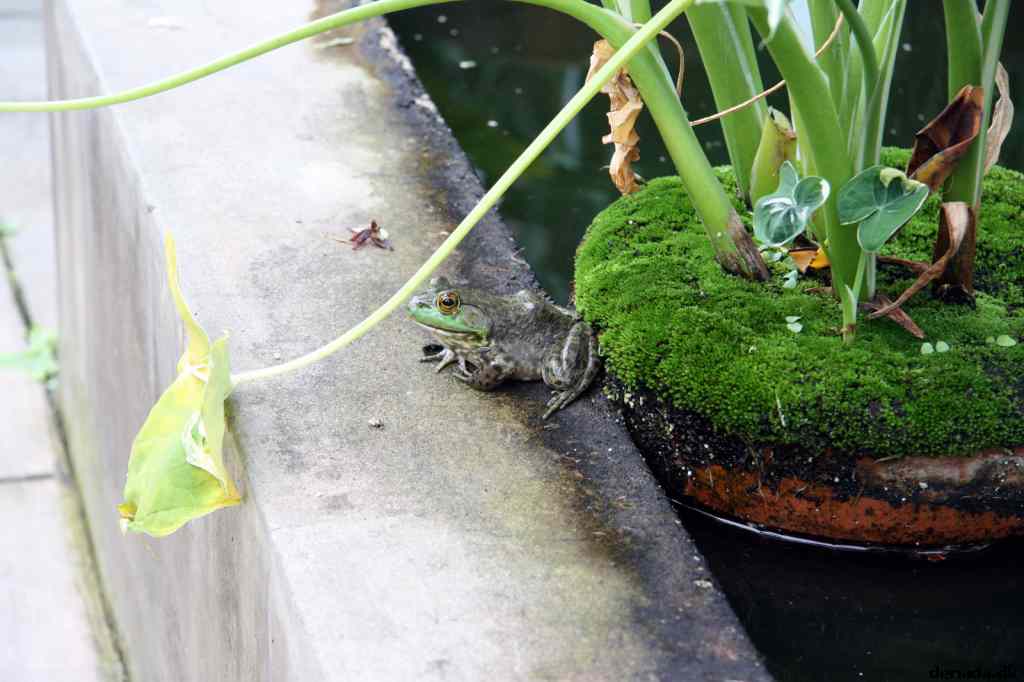 * Image 58