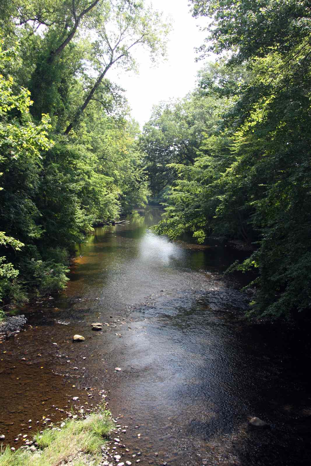 * Image 14