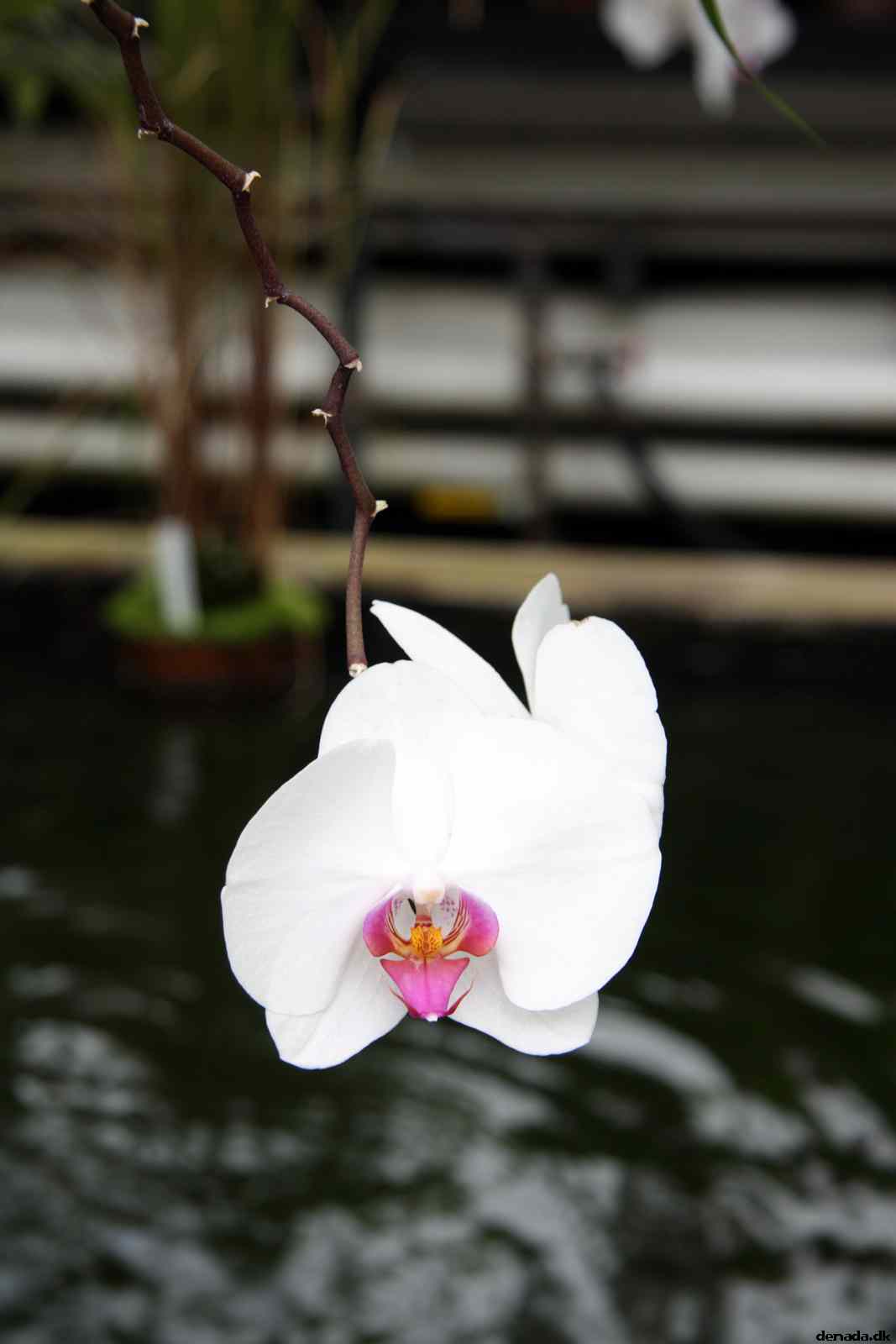 * Image 57