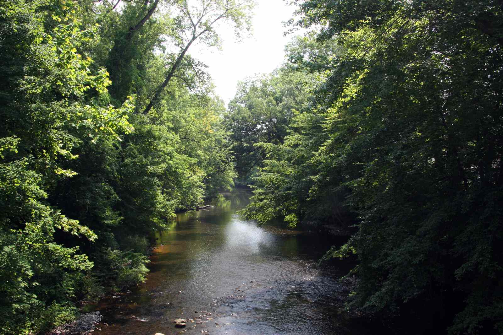 * Image 15