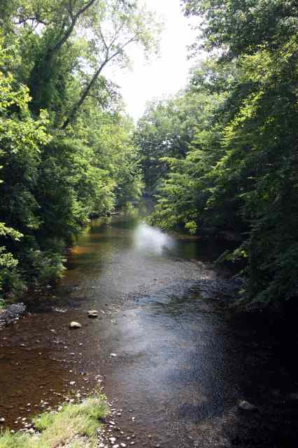 * Image 14