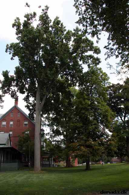 * Image 20