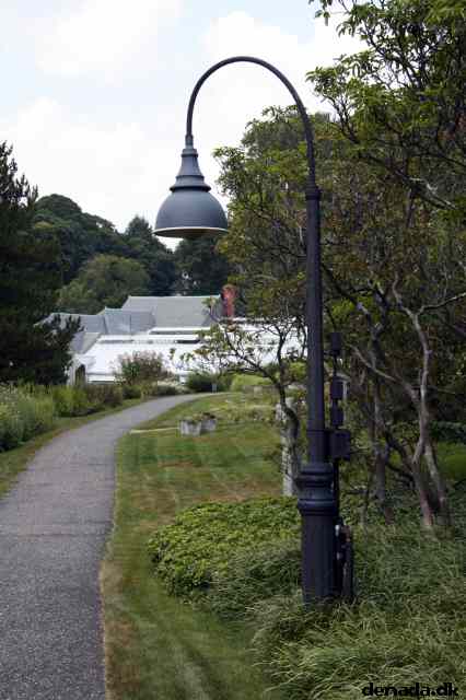 * Image 37