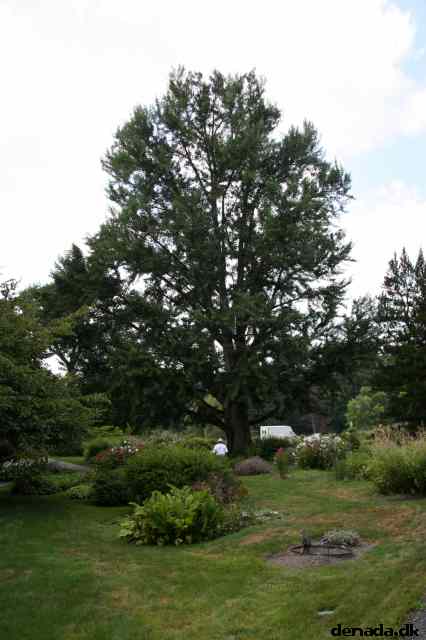 * Image 38