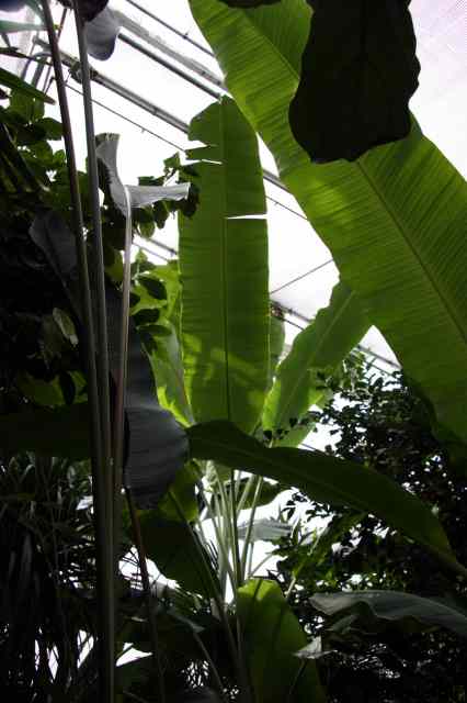 * Image 46