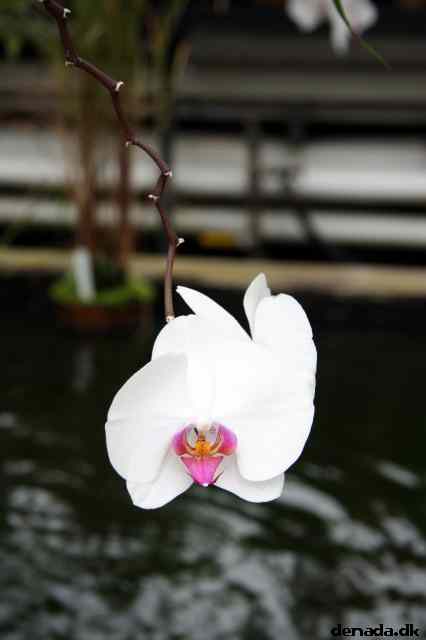 * Image 57