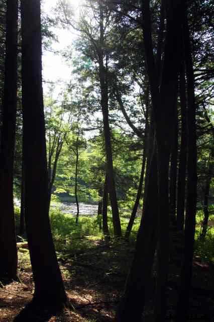 * Image 92