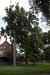 200908190051m.jpg - 2009:08:19 13:27:22