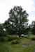 200908190075m.jpg - 2009:08:19 13:38:27
