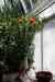 200908190081m.jpg - 2009:08:19 13:43:32