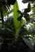 200908190082m.jpg - 2009:08:19 13:43:42